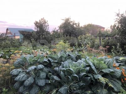 Продажа квартиры Омск. 1-я Станционная, 4