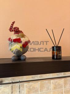 Продажа квартиры Омск. улица Степанца, 2