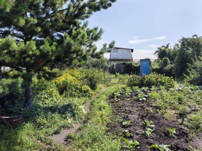 Продажа дома Омск. г Омск, тер.СОСН Птицевод-3, д 81