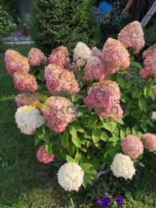 Продажа дома улица Степная, 33