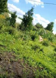 Продажа дачи Петрушенко