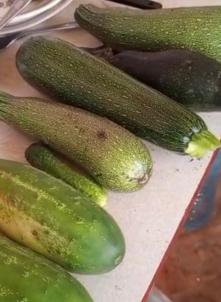 Продажа дачи Петрушенко