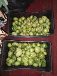 Продажа дачи Петрушенко