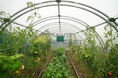 Продажа дома Омская обл, Омский р-н, село Надеждино, ул Ясеневая