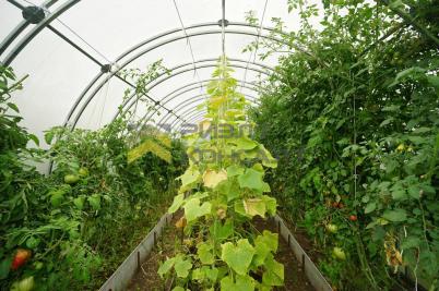 Продажа дома Омская обл, Омский р-н, село Надеждино, ул Ясеневая