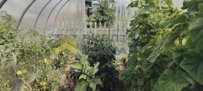 Продажа дачи Омск. г Омск, тер.СОСН Содружество (Октябрьский)