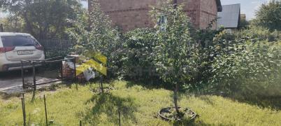 Продажа дачи Омск. г Омск, тер.СОСН Содружество (Октябрьский)