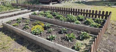 Продажа дачи Омск. г Омск, тер.СОСН Содружество (Октябрьский)