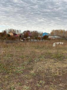 Продажа земли Омск. Линейная улица 10