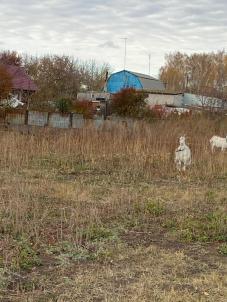 Продажа земли Омск. Линейная улица 10