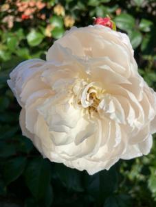 Продажа дома Омск.&nbsp;Карельская