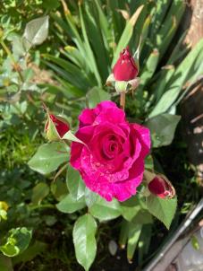 Продажа дома Омск.&nbsp;Карельская