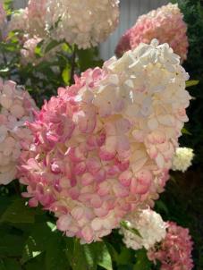 Продажа дома Омск.&nbsp;Карельская