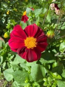 Продажа дома Омск.&nbsp;Карельская