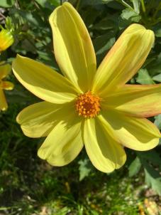 Продажа дома Омск.&nbsp;Карельская