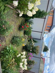 Продажа дома Омск.&nbsp;Карельская