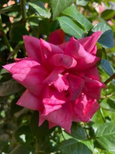 Продажа дома Омск.&nbsp;Карельская