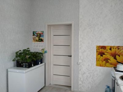 Продажа дома Омск.&nbsp;Птицевод-3