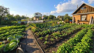 Продажа дачи Омск.&nbsp;Омск, СН Дары Сибири, аллея 20