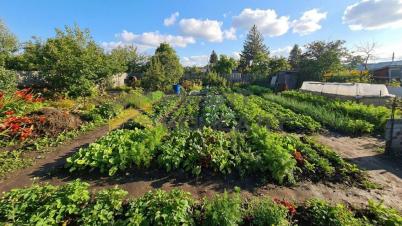 Продажа дачи Омск.&nbsp;Омск, СН Дары Сибири, аллея 20