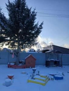 Продажа дачи Омск.&nbsp;СНТ дружба, 93