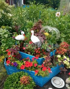 Продажа дачи Омск.&nbsp;СНТ дружба, 93