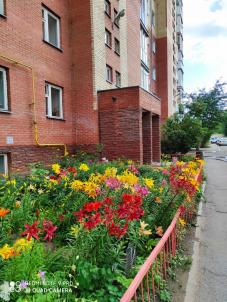 Продажа квартиры Омск.&nbsp;Транссибирская улица 1