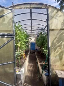 Продажа дома С Пушкино тер СНТ Садовод - 1 ал. 2