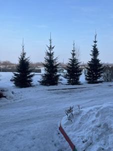 Продажа квартиры Омск.&nbsp;мкр Загородный