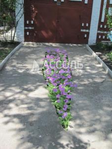 Продажа дачи Омск.&nbsp;тер.СОСН. Тепличный-2 филиал 4