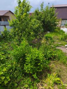 Продажа дачи Омск.&nbsp;1-я Заречная