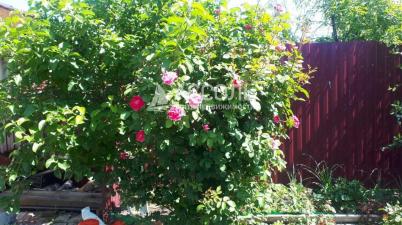 Продажа дачи Омск.&nbsp;2-я аллея, СНТ Излучина, Богословское сельское поселение, Омский район