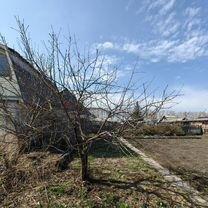 Продажа дачи Омск городской округ.&nbsp;г Омск.&nbsp;Сельский строитель-1, 44
