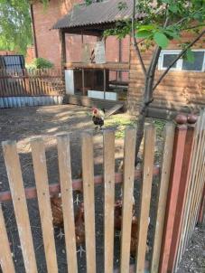 Продажа дома Омск.&nbsp;7-я Солнечная ул, 87