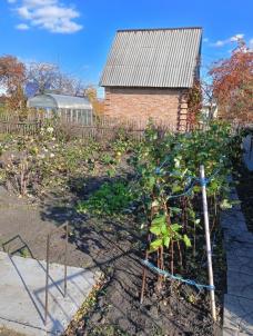 Продажа дачи Омск городской округ.&nbsp;Полет-2 тер.СОСН.&nbsp;-, 134