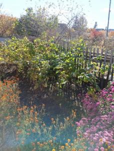 Продажа дачи Омск городской округ.&nbsp;Полет-2 тер.СОСН.&nbsp;-, 134