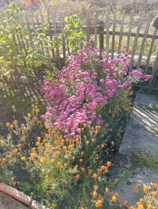 Продажа дачи Омск городской округ.&nbsp;Полет-2 тер.СОСН.&nbsp;-, 134