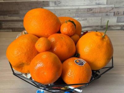 Продажа квартиры Омск.&nbsp;Орджоникидзе, 273б