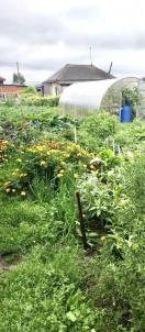 Продажа дома Таврическое 