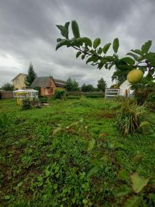 Продажа дачи Омск.&nbsp;СОСН Полёт-2