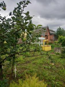 Продажа дачи Омск.&nbsp;СОСН Полёт-2