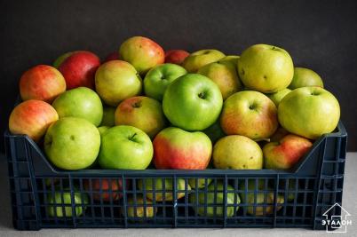 Продажа дачи Омск.&nbsp;территория СОСН Дружба 235