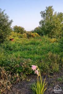 Продажа дачи Омск.&nbsp;территория СОСН Дружба 235