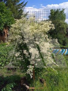 Продажа дачи Омск.&nbsp;СОСН Поиск, 2-я аллея, 20