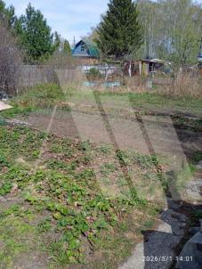 Продажа дачи Омск.&nbsp;СОСН Поиск, 2-я аллея, 20