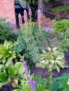 Продажа дачи Омск.&nbsp;СОСН Поиск, 2-я аллея, 20