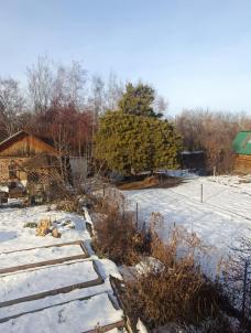 Продажа дома Омск.&nbsp;территория СОСН Энергия 311