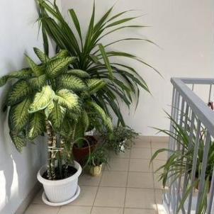 Продажа квартиры Омск.&nbsp;Ватутина ул, 22А