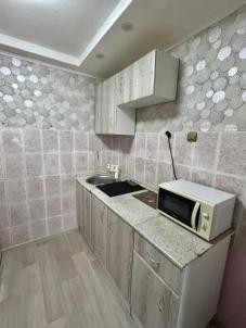 Продажа квартиры Омск.&nbsp;ул. Бородина, 44Б