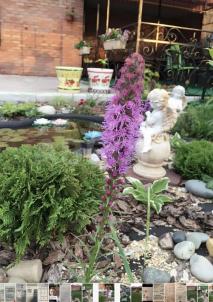 Продажа квартиры Омск.&nbsp;ул. Юго-Западная, 2/4